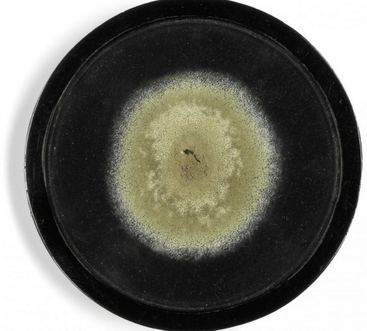 Иллюстрация к книге — ПРАВДА. Как политики, корпорации и медиа формируют нашу реальность, выставляя факты в выгодном свете [i_033.jpg]