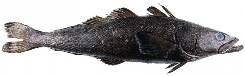 Иллюстрация к книге — ПРАВДА. Как политики, корпорации и медиа формируют нашу реальность, выставляя факты в выгодном свете [i_049.jpg]