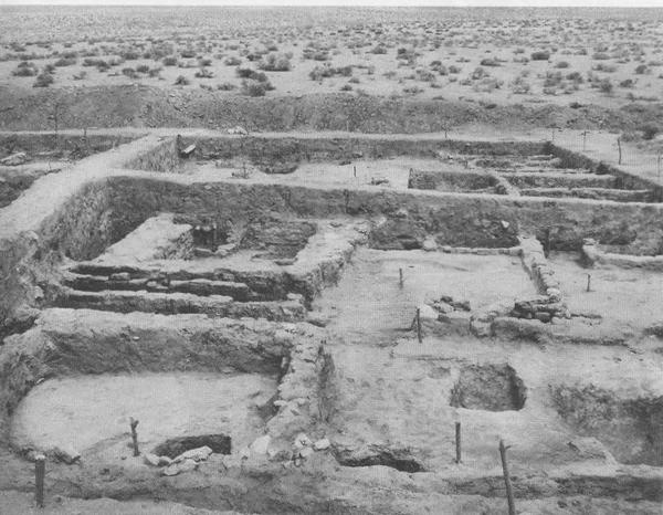 Иллюстрация к книге — Дмитрий Донской [i_029.jpg]