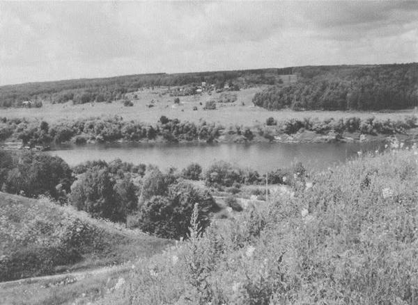 Иллюстрация к книге — Дмитрий Донской [i_034.jpg]