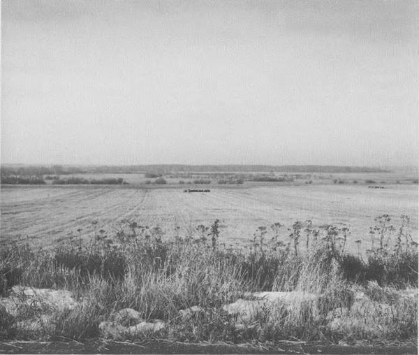 Иллюстрация к книге — Дмитрий Донской [i_043.jpg]