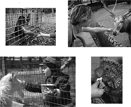 Иллюстрация к книге — Генерация прорывных идей в бизнесе [i_122.jpg]