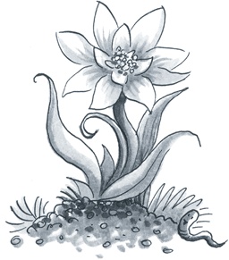 Иллюстрация к книге — Стратегия бизнеса. Как создать и воплотить ее в жизнь [i_048.jpg]