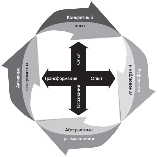 Иллюстрация к книге — Век живи - век учись. Найдите стиль обучения, подходящий именно вам [i_001.jpg]