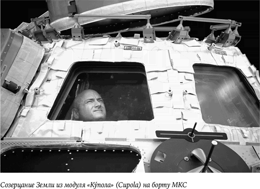 Иллюстрация к книге — Стойкость. Мой год в космосе [i_005.jpg]