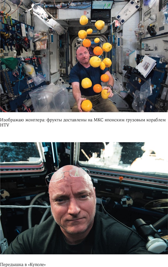 Иллюстрация к книге — Стойкость. Мой год в космосе [i_026.jpg]