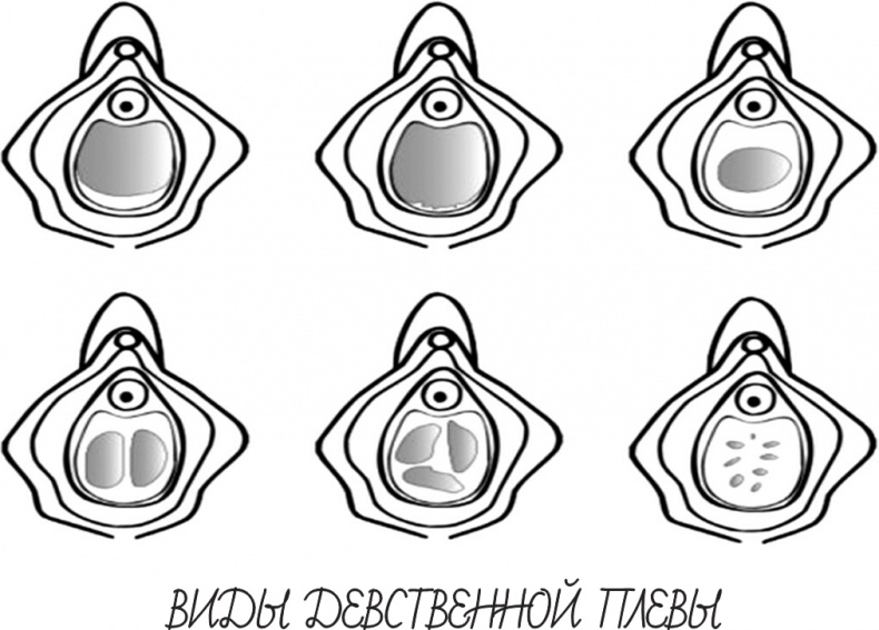 Иллюстрация к книге — Project Woman. Тонкости настройки женского организма. Узнай, как работает твое тело [i_003.jpg]