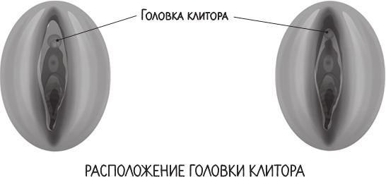 Иллюстрация к книге — Project Woman. Тонкости настройки женского организма. Узнай, как работает твое тело [i_018.jpg]