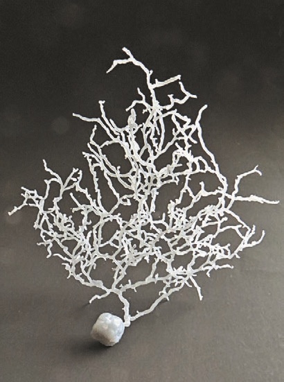 Иллюстрация к книге — Смотреть и видеть [i_006.jpg]