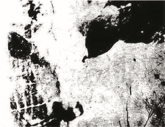 Иллюстрация к книге — Смотреть и видеть [i_012.jpg]