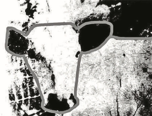 Иллюстрация к книге — Смотреть и видеть [i_013.jpg]