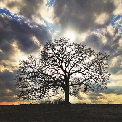 Иллюстрация к книге — Смотреть и видеть [i_021.jpg]