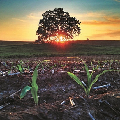 Иллюстрация к книге — Смотреть и видеть [i_022.jpg]