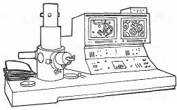 Иллюстрация к книге — Руководство по выживанию среди зомби: всё о защите от живых мертвецов [_003.jpg]