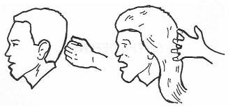 Иллюстрация к книге — Руководство по выживанию среди зомби: всё о защите от живых мертвецов [_042.jpg]