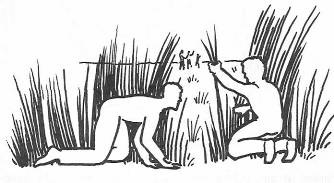 Иллюстрация к книге — Руководство по выживанию среди зомби: всё о защите от живых мертвецов [_068.jpg]