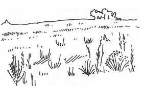 Иллюстрация к книге — Руководство по выживанию среди зомби: всё о защите от живых мертвецов [_079.jpg]