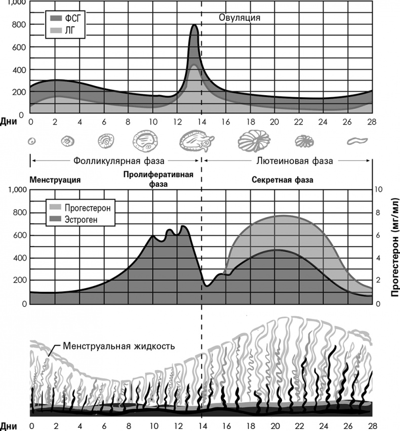 Иллюстрация к книге — Безжалостный курс тренировок для целеустремленных [i_004.jpg]