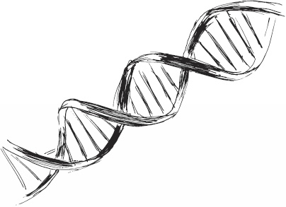 Иллюстрация к книге — Волк по имени Ромео. Как дикий зверь покорил сердца целого города [i_007.jpg]