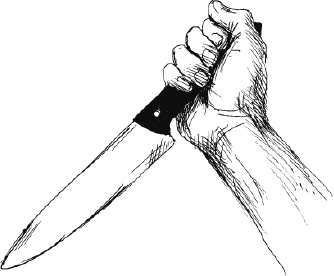 Иллюстрация к книге — Волк по имени Ромео. Как дикий зверь покорил сердца целого города [i_012.jpg]