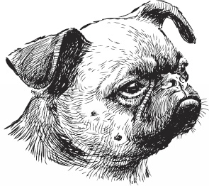 Иллюстрация к книге — Волк по имени Ромео. Как дикий зверь покорил сердца целого города [i_014.jpg]