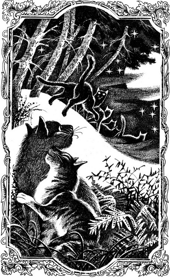 Иллюстрация к книге — Время Выбора [pic_1.jpg]