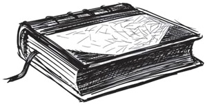 Иллюстрация к книге — Бесценный дар собаки. История лабрадора Дейзи, собаки-детектора, которая спасла мне жизнь [i_014.jpg]