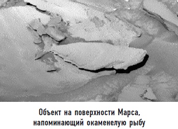 Иллюстрация к книге — Гости из космоса. Факты. Доказательства. Расследования [i_027.jpg]