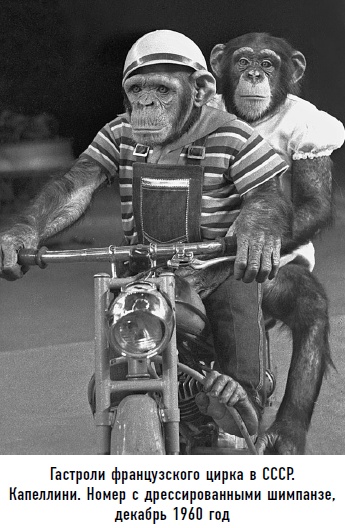 Иллюстрация к книге — Гости из космоса. Факты. Доказательства. Расследования [i_065.jpg]