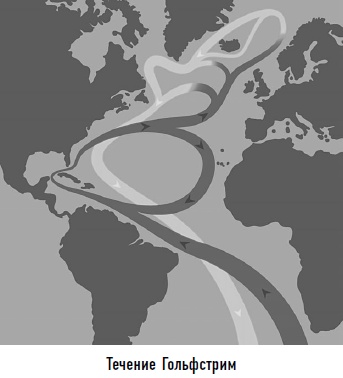 Иллюстрация к книге — Гости из космоса. Факты. Доказательства. Расследования [i_089.jpg]