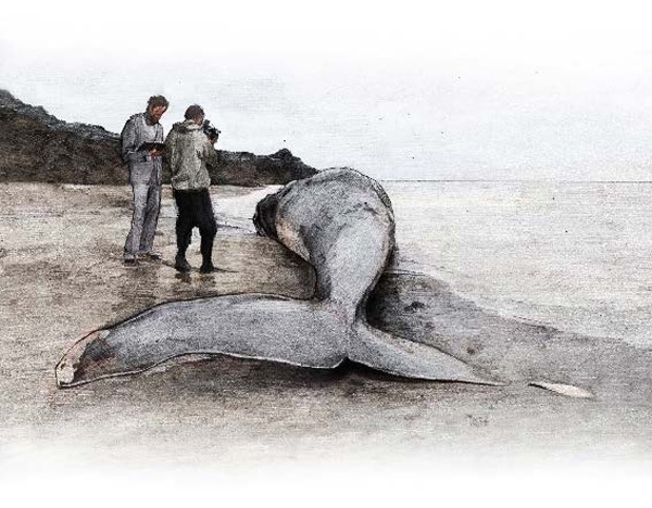 Иллюстрация к книге — В поисках мальчишеского бога [i_012.jpg]