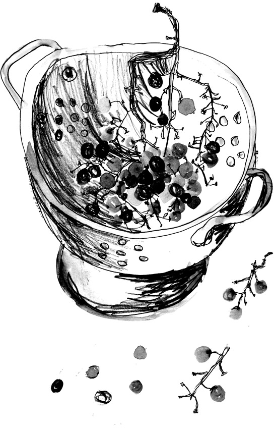 Иллюстрация к книге — Вратарь и море [i_037.jpg]