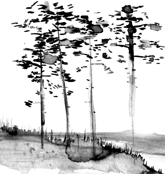 Иллюстрация к книге — Вратарь и море [i_063.jpg]