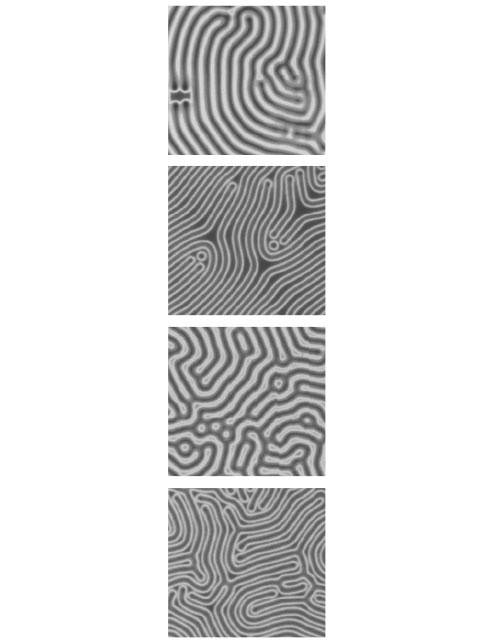 Иллюстрация к книге — Укрощение бесконечности. История математики от первых чисел до теории хаоса [i_178.jpg]