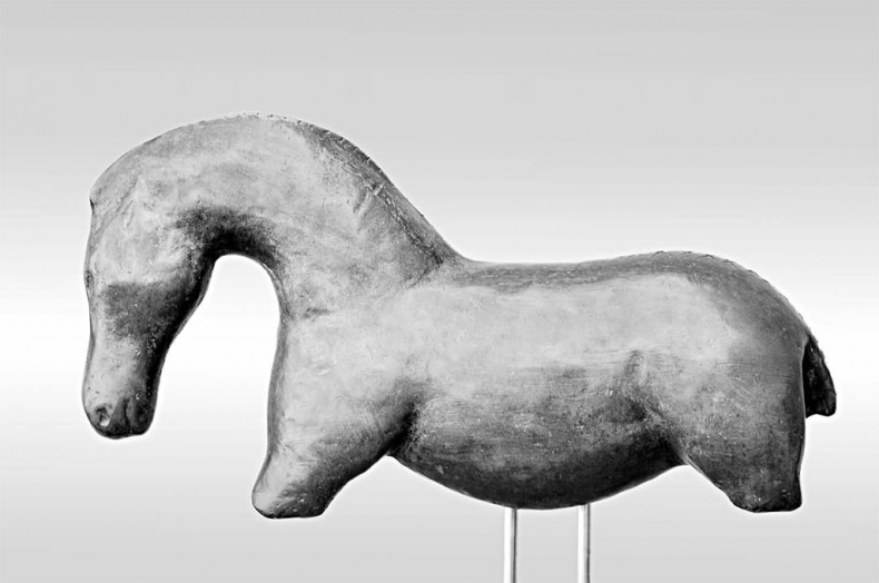 Иллюстрация к книге — Лошадь. Биография нашего благородного спутника [i_002.jpg]