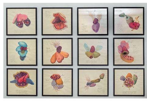 Иллюстрация к книге — Современное искусство и как перестать его бояться [i_109.jpg]