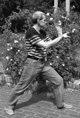 Иллюстрация к книге — Ци-Гун Пяти зверей. Правда и сказка [_15.jpg]