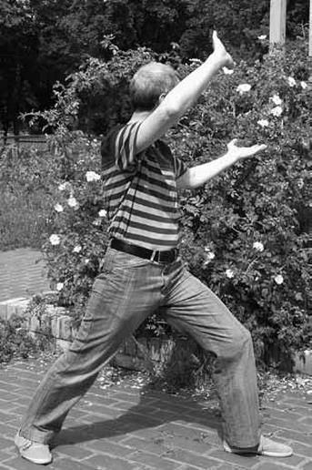 Иллюстрация к книге — Ци-Гун Пяти зверей. Правда и сказка [_16.jpg]