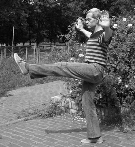 Иллюстрация к книге — Ци-Гун Пяти зверей. Правда и сказка [_41.jpg]