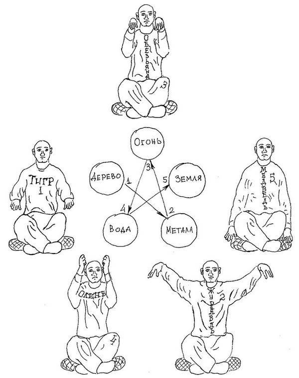 Иллюстрация к книге — Ци-Гун Пяти зверей. Правда и сказка [_52.jpg]