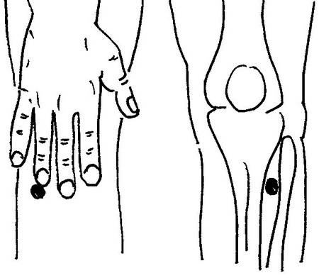 Иллюстрация к книге — Ци-Гун Пяти зверей. Правда и сказка [_55.jpg]