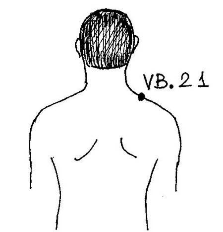 Иллюстрация к книге — Ци-Гун Пяти зверей. Правда и сказка [_60.jpg]