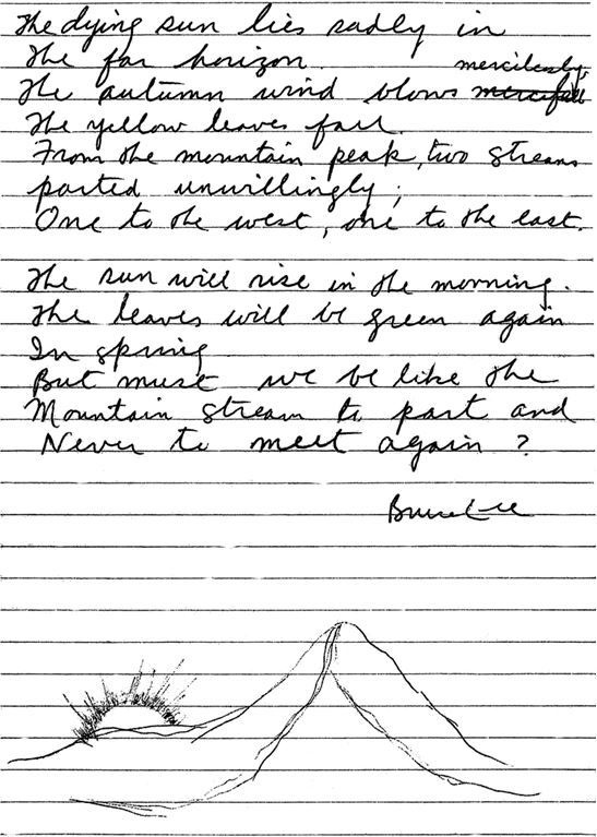 Иллюстрация к книге — Брюс Ли. Путь совершенства [i_037.jpg]