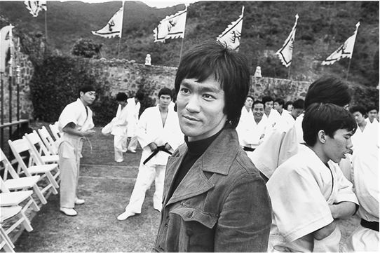 Иллюстрация к книге — Брюс Ли. Путь совершенства [i_047.jpg]