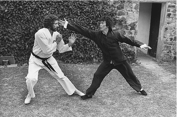 Иллюстрация к книге — Брюс Ли. Путь совершенства [i_049.jpg]