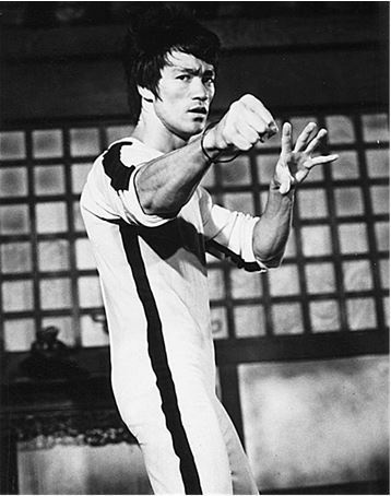 Иллюстрация к книге — Брюс Ли. Путь совершенства [i_100.jpg]