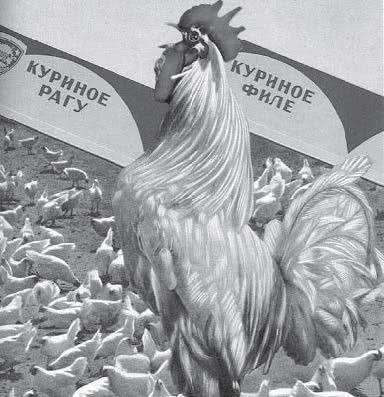 Иллюстрация к книге — Книга о вкусной жизни. Небольшая советская энциклопедия [i_011.jpg]