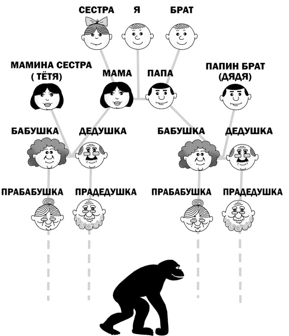 Иллюстрация к книге — Эволюция на пальцах. Для детей и родителей, которые хотят объяснять детям [_13.jpg]