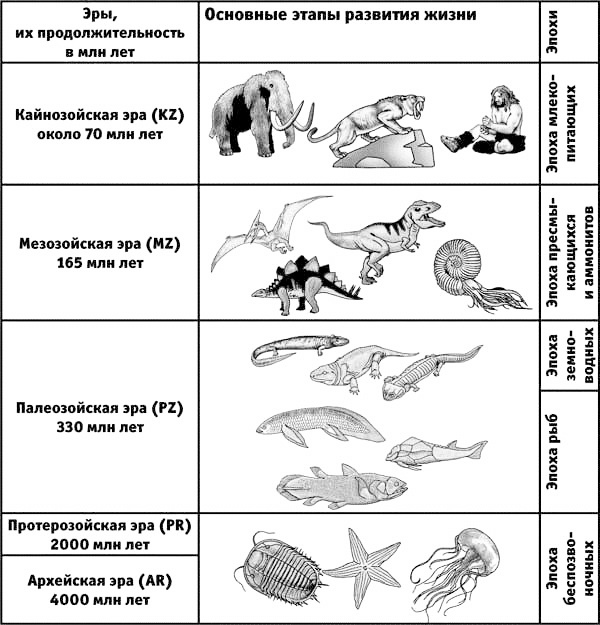 Иллюстрация к книге — Эволюция на пальцах. Для детей и родителей, которые хотят объяснять детям [_24.jpg]