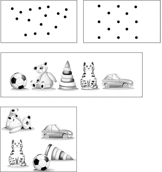 Иллюстрация к книге — Эволюция на пальцах. Для детей и родителей, которые хотят объяснять детям [_3.jpg]